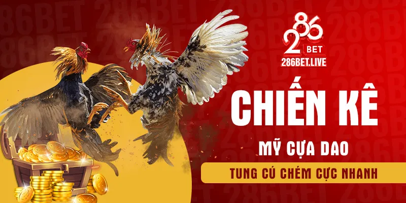 Chiến kê Mỹ cựa dao tung cú chém cực nhanh