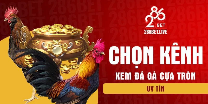 Chọn kênh xem đá gà cựa tròn uy tín