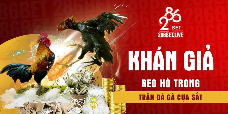 Khán giả reo hò trong trận đá gà cựa sắt